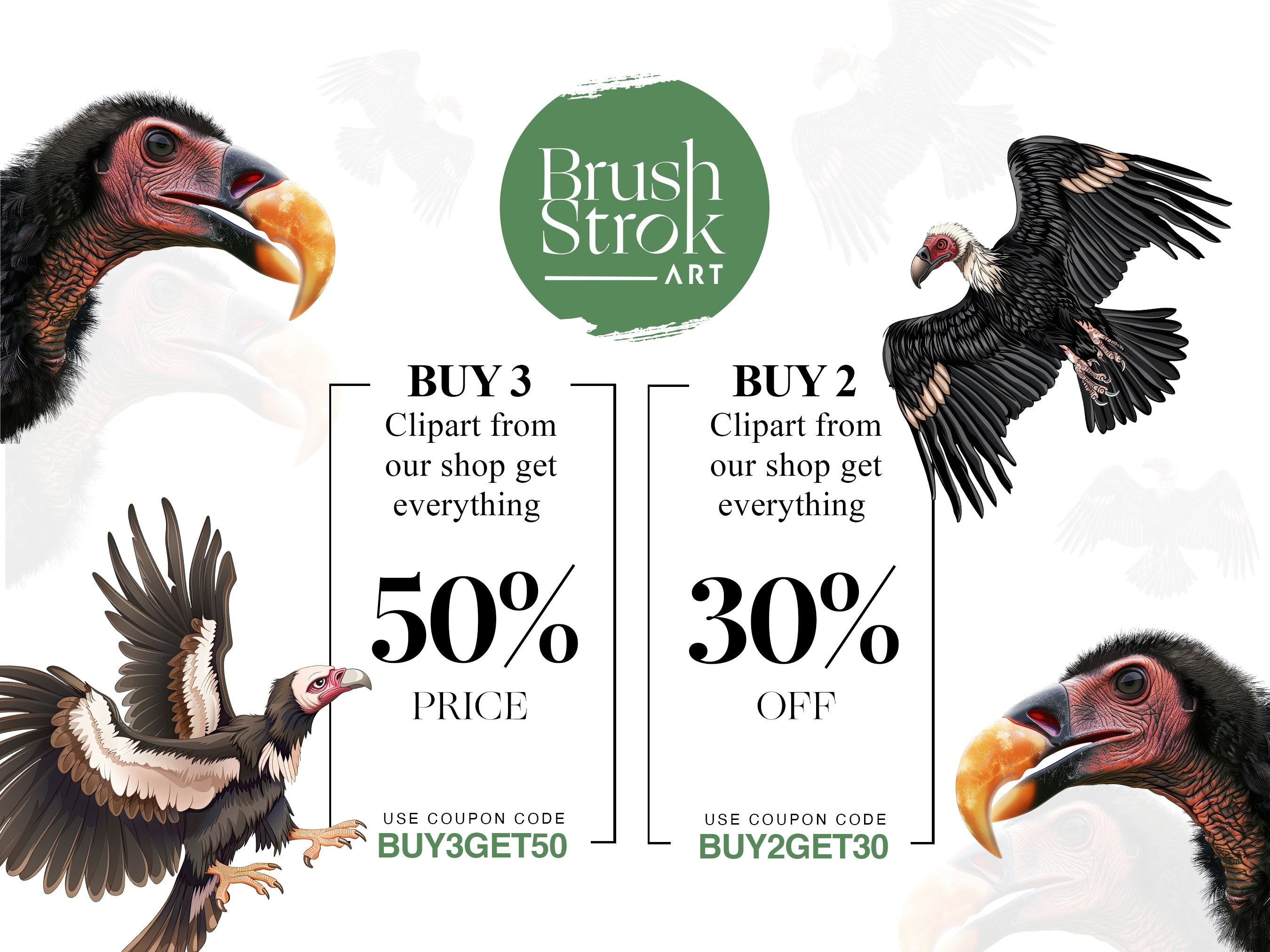 Watercolor Vulture Clipart, Turkey Vulture Bird, Buzzard Vulture