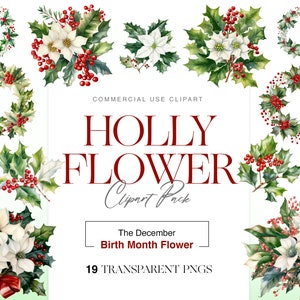 Watercolor Holly Flower Clipart, Christmas Floral, Birth Month Flower, Holly Berries, Wreath, Holly PNG