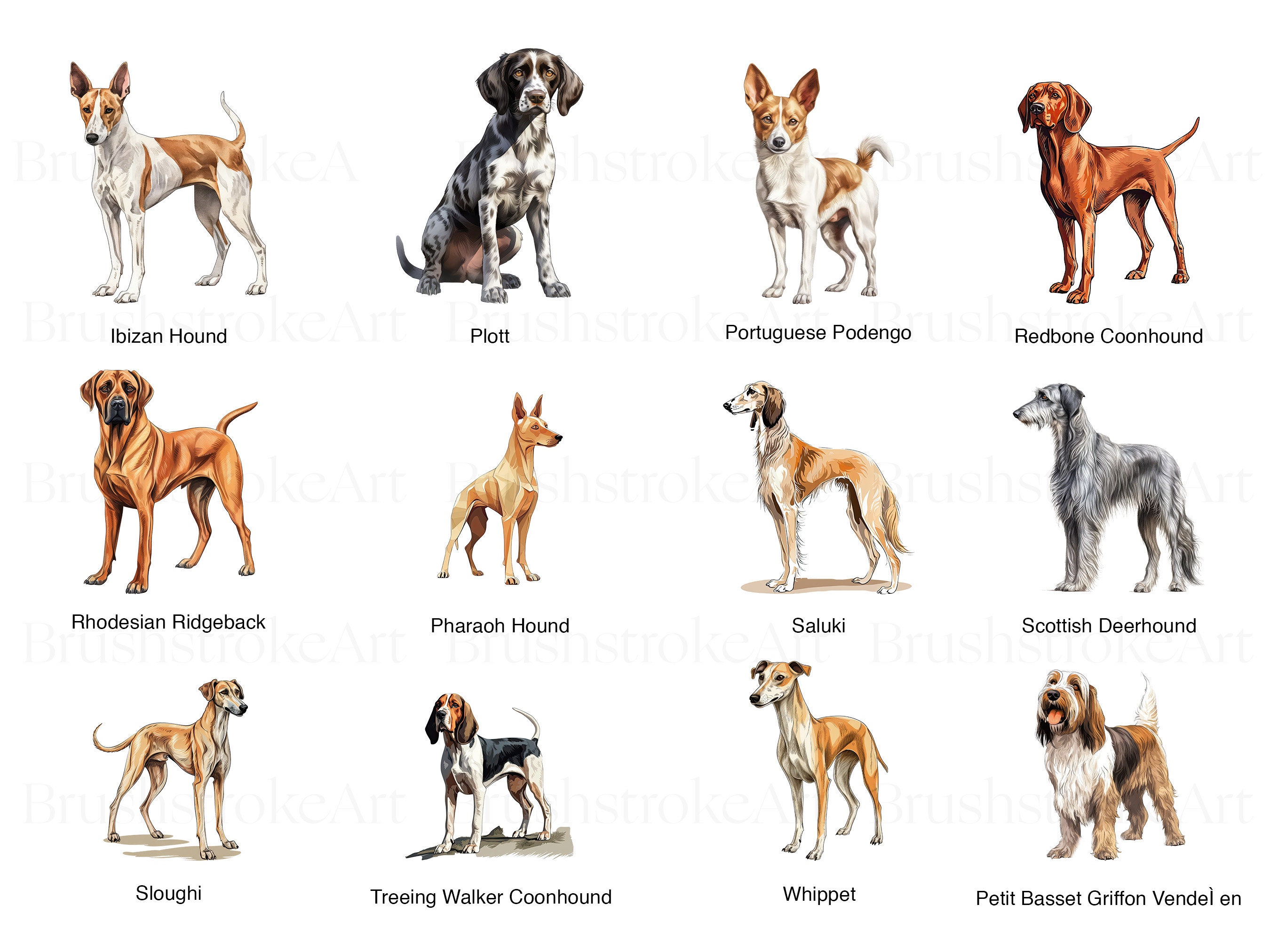 Hound Group Dogs Clipart Collection - 37 Unique Watercolor ...