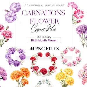 Birthmonth Flower Carnation Clipart, Watercolor Wreath, Bouquet, Carnation PNG, Pink Flower, Wedding Decor