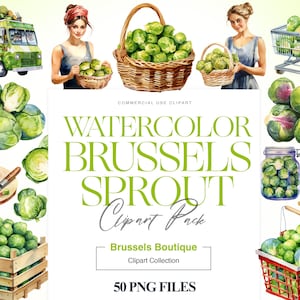 Clipart di cavoletti di Bruxelles vegetali ad acquerello, cibo sano, mercato degli agricoltori, verdure, verdura da giardino, digitale