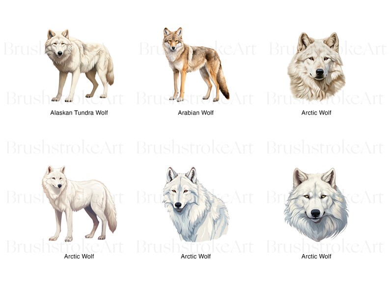 Gray Wolf Clipart, Artic Wolf, Printable, Gray Wolves, Dingo Clipart ...