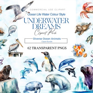 Aquarell Ozean Tiere Clipart, Unterwassertiere, Meer Leben, Delphin Clipart, Hai, Oktopus, Schildkröte PNG