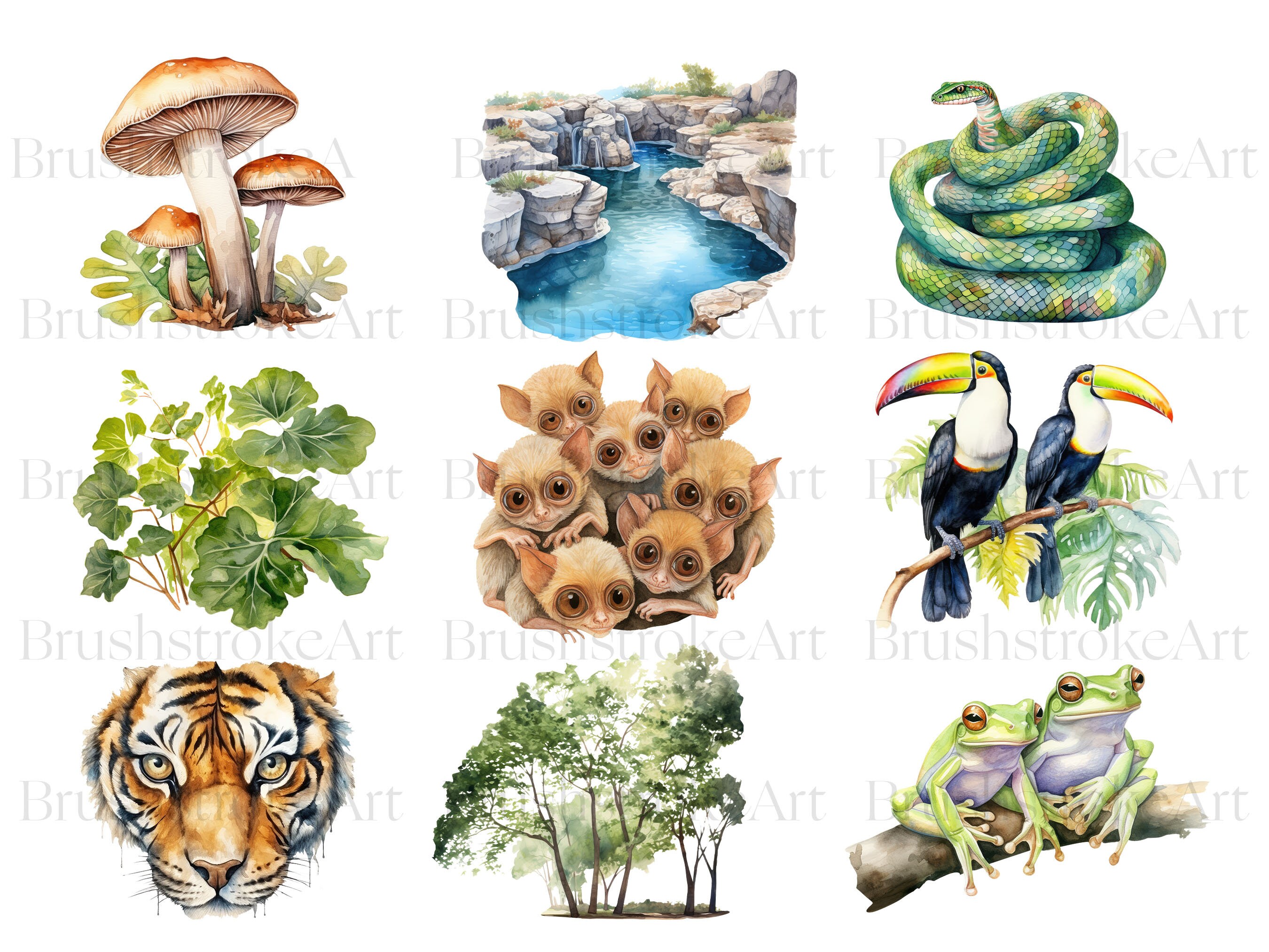 Watercolor Tropical Rainforest Clipart, Tropical Animals, Birds, Parrot ...