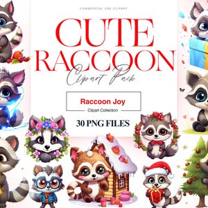 Cute Raccoon Clipart, Happy Raccoon, Woodland Animal, Funny Raccoon PNG, Nursery Animal, Printable Raccoons
