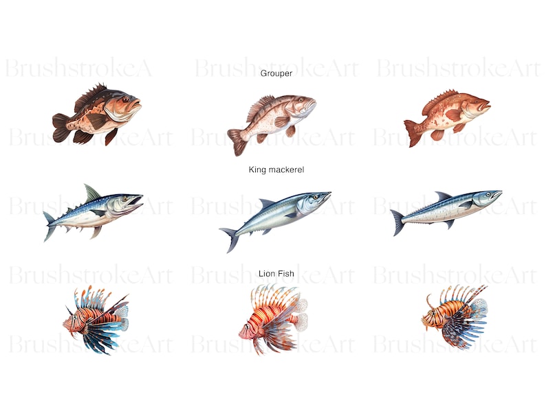 Puede incluir: Ilustraci&oacute;n de seis tipos diferentes de peces: un mero, una caballa real, un pez le&oacute;n, un pargo rojo, un tambor rojo y una barracuda. Todos los peces est&aacute;n dibujados en un estilo realista con escamas y aletas detalladas.