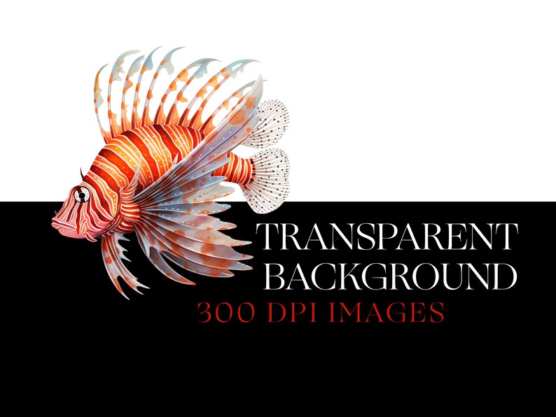 Puede incluir: Un pez le&oacute;n rojo y blanco con aletas largas y flotantes. El pez est&aacute; aislado sobre un fondo blanco.  TRANSPARENT BACKGROUND 300 DPI IMAGES