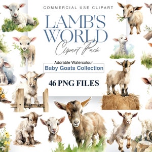 Clipart di agnello dell'acquerello, clipart di pecorella, agnellino, animali da fattoria PNG, arte della parete della scuola materna, agnello carino, pecora