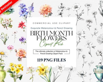 Birth Month Flowers Clipart, Birthday flower png, Watercolour Flower Clipart, Birth Flower png Clipart , Gifts idea for mom