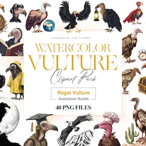Imágenes Prediseñadas de buitre de acuarela, pájaro buitre de pavo, buitre PNG, pájaros grandes, diseño de buitre, pájaro africano