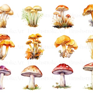 May include: Watercolor painting of various types of mushrooms. The mushrooms are painted in shades of yellow, orange, red, and white. The mushrooms are depicted in a cluster, with some mushrooms growing on top of others.