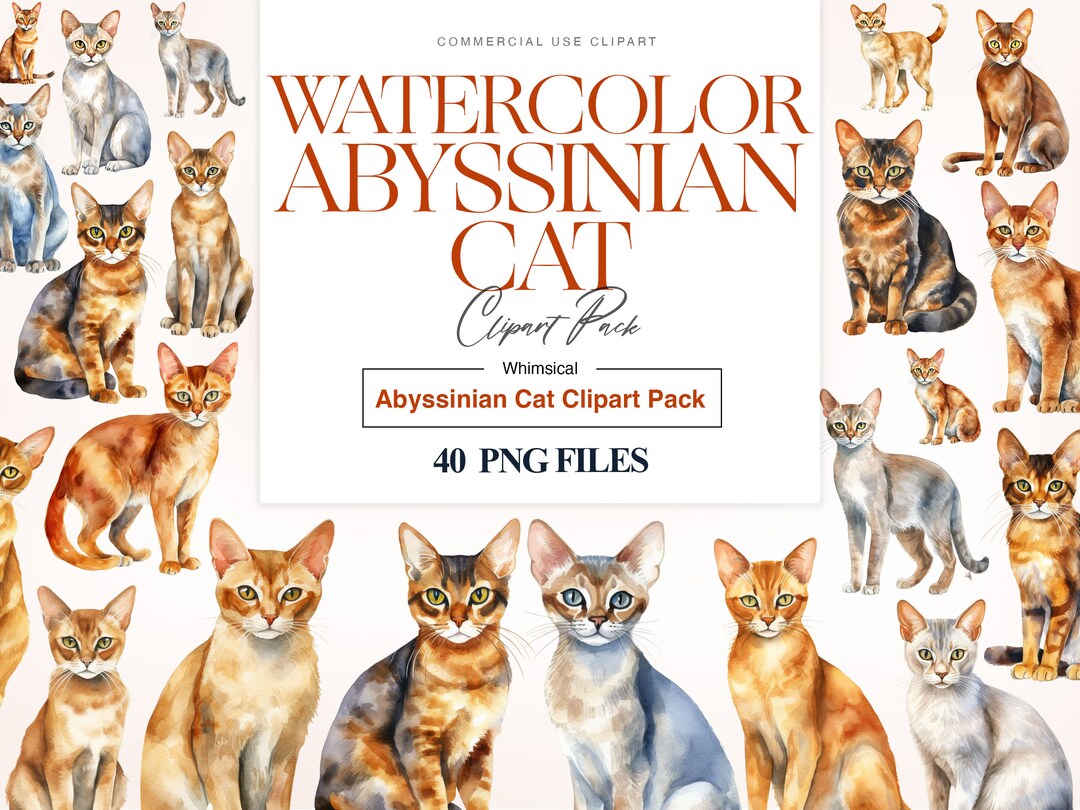 Abyssinian Cats Clipart, Cat Breeds, Kitten Clipart, Cat Lover ...