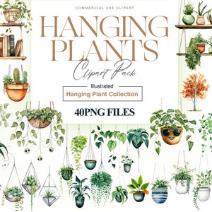 Aquarel hangende planten clipart, kamerplanten, potplanten, hangende plant PNG, hangende bloemen, tuinieren