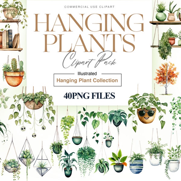 Watercolor Hanging Plants Clipart, House Plants, Potted Plants, Hanging Plant PNG, Hanging Flowers, Gardening