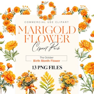 Watercolor Marigold Clipart, Birth Month Flower, Floral Wreath, Bouquet, Wedding, Card Design, Marigold PNG