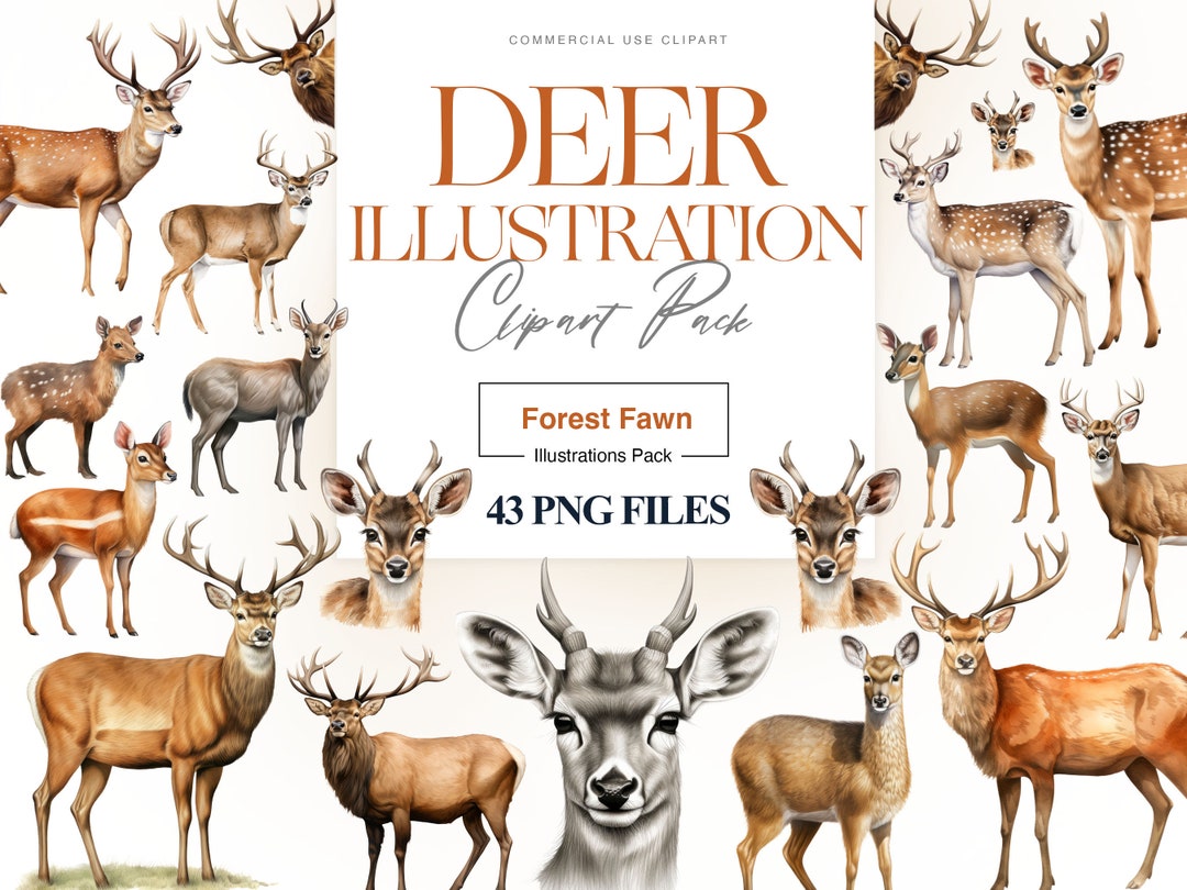 アルケミエ 7th と6th ジン アブサン wild deer 12本セット アルケミエ