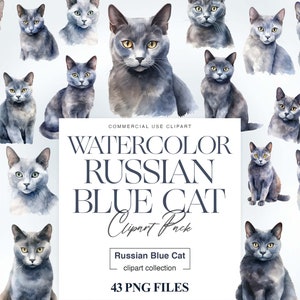 Clipart chat bleu russe, races de chat, PNG bleu russe, chat aquarelle, décoration de chambre d'enfant, clipart chats mignons, animal de compagnie