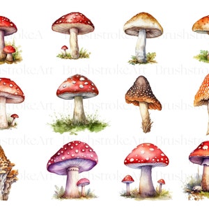 May include: Watercolor painting of various mushrooms with red, white, brown, and orange caps. The mushrooms are painted in a realistic style with detailed textures and colors.