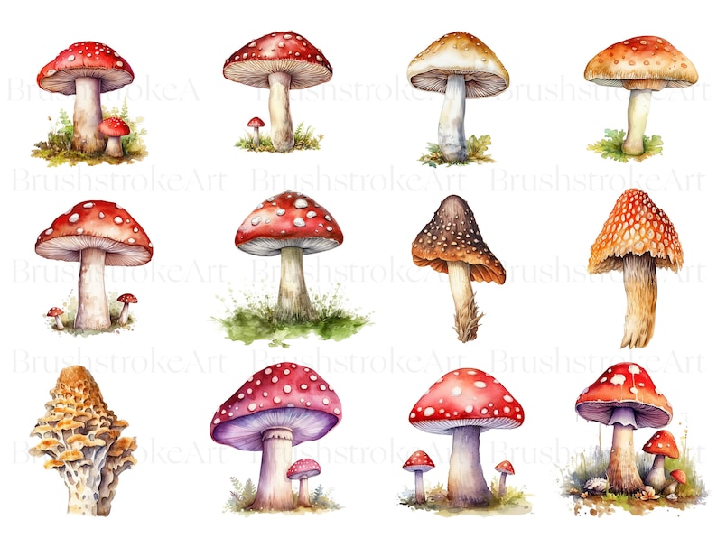 May include: Watercolor painting of various mushrooms with red, white, brown, and orange caps. The mushrooms are painted in a realistic style with detailed textures and colors.