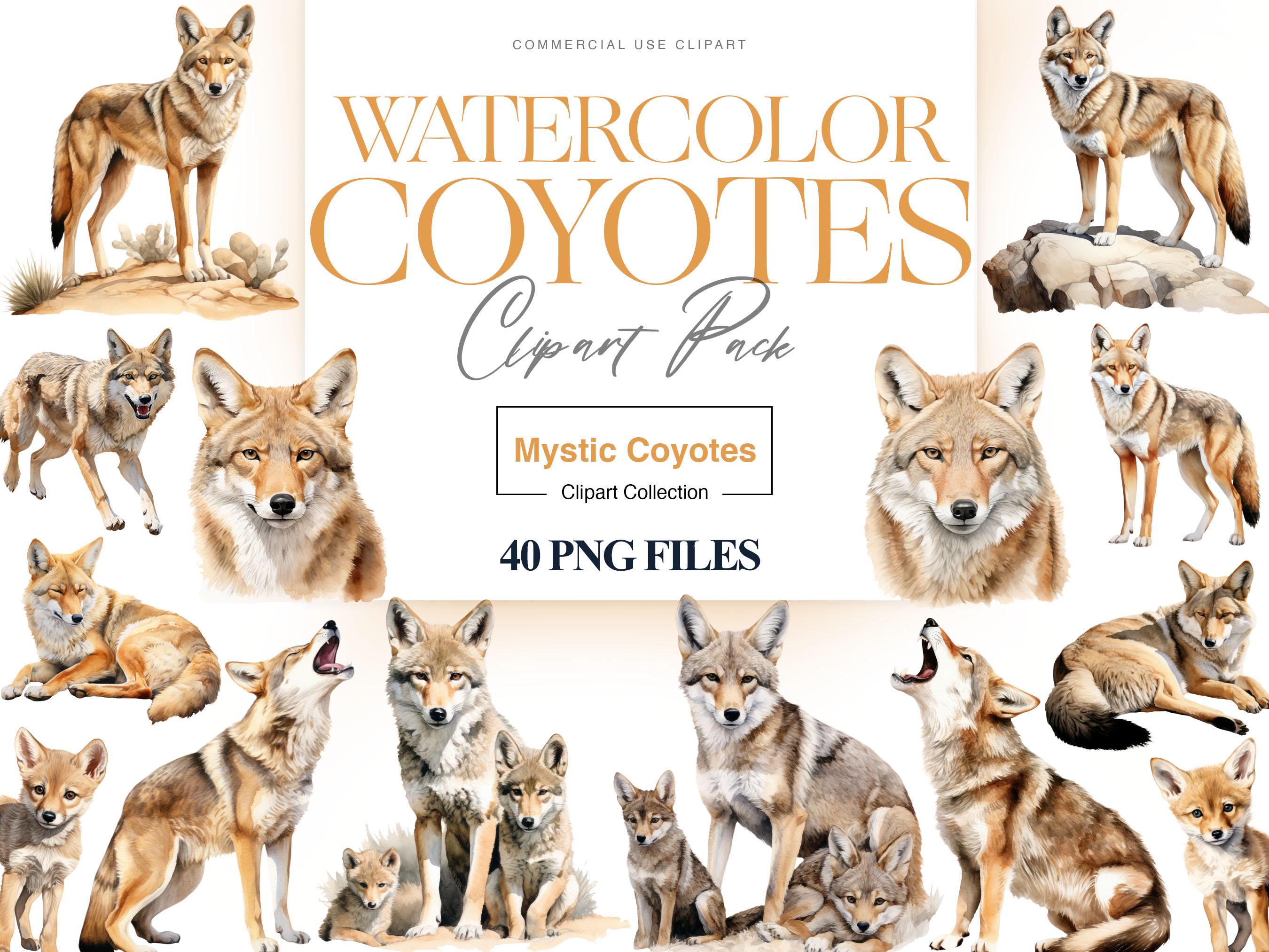 Watercolor Coyote Clipart, Woodland Animal, Howling Coyote PNG, Wildlife  Animal Wall Art, Coyote Graphics Mug - Etsy, image size:2700x2025