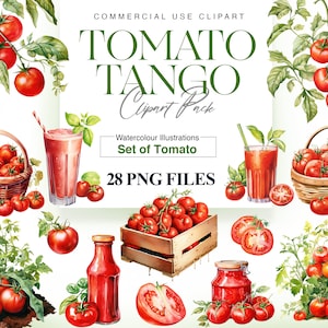 Clipart tomate aquarelle, légume, clipart jardin, décoration de cuisine, nourriture, T Shirt, végétarien, tomate PNG