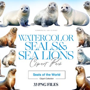 Watercolor Seal and Sea Lion Clipart, Baby Seal PNG, Ocean Animal, Sea Lion PNG, Cute Seal Images, Seal Print