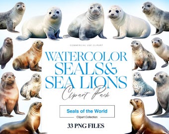 Imágenes prediseñadas de foca y león marino en acuarela, cría de foca PNG, animal marino, león marino PNG, imágenes de focas lindas, impresión de focas