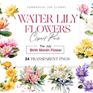 Clipart de nenúfar em aquarela, flor do mês de nascimento, almofada de lírio, flor de lótus, guirlanda floral, buquê, lírio png