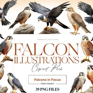 Może przedstawiać: Kolekcja 39 cyfrowych ilustracji przedstawiających sokoły w różnych pozach. Ilustracje są w realistycznym stylu i charakteryzują się szczegółowymi piórami i ostrymi dziobami. Sokoły są przedstawione w różnych kolorach, w tym brązowym, szarym i białym. Ilustracje idealnie nadają się do wykorzystania w różnych projektach, takich jak projektowanie stron internetowych, grafika mediów społecznościowych i materiały drukowane.