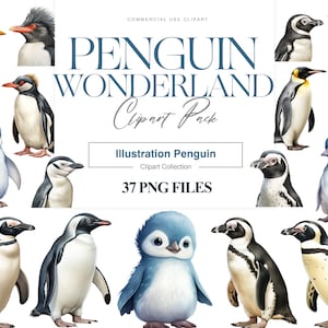 Penguin Species Clipart, keizerspinguïn, Adeliepinguïn illustratie, Kinbandpinguïn, schattige pinguïnafbeeldingen