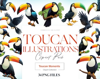 Toucan Clipart, Tropical Bird Prints, Exotic Bird, Printable Toucans, Nature Wall Decor, Toucan Illustration