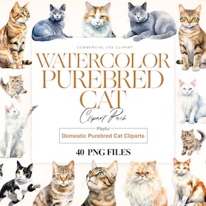 Purebred Cats Clipart, American Shorthair, Cat Breeds, Cartoon Cats, Maine Coon, Cat PNG, Black and White Cat