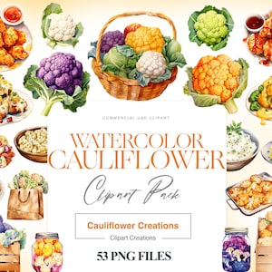 Blumenkohl Clipart, lila Blumenkohl, Aquarell Gemüse Clipart, Blumenkohl PNG, vegetarisches Essen, Menü