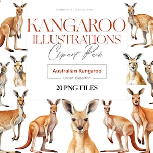 Clipart kangourou, kangourou australien, kangourou roux, kangourou gris de l'Ouest, animaux d'Australie, art animalier
