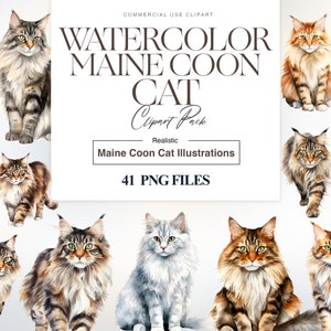Clipart chat Maine Coon, aquarelle de chats, mignon chaton PNG, Maine Coon PNG, races de chats, chat duveteux PNG, numérique