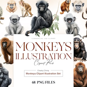 Aquarell Affe Clipart, Gorilla, Affe Clipart, Schimpanse, Affe PNG, Primaten Clipart, Gibbon Affe PNG