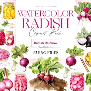 Clipart radis, navet, radis blanc, clipart de légume-racine, radis PNG, légume du jardin, nourriture végétarienne