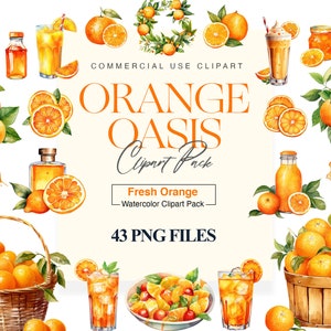 Watercolor Orange Clipart, Summer Fruits Clipart, Orange Illustrations, Sweet Citrus Clipart, Orange PNG