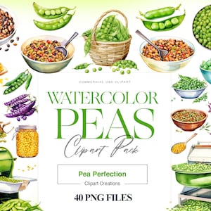 Aquarelle Clipart petits pois, petits pois, clipart de légumes du jardin, pois dans une cosse des cliparts, pois de senteur PNG, légumes