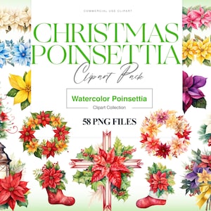 Clipart de Poinsétia de Natal, Buquê de Poinsétia Vermelha, Clipart de Flor de Poinsétia, Poinsétias Brancas, Floral PNG