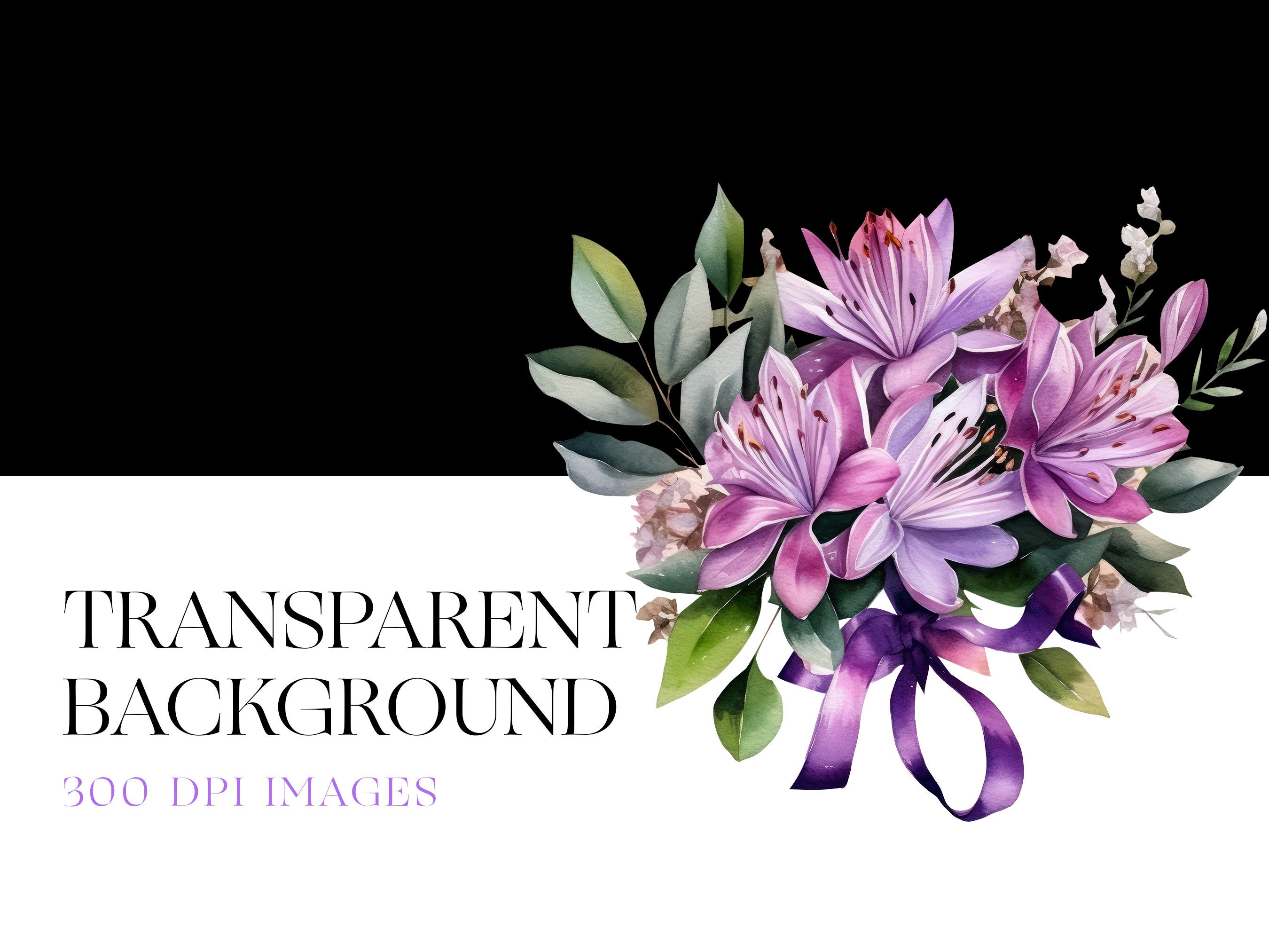 Watercolor Honeysuckle Clipart, June Birth Month Flower, White Flower ...
