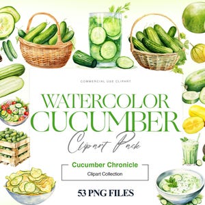 Clipart aquarelle de concombre, concombre frais PNG, clipart aquarelle cornichon, légume, clipart végétalien