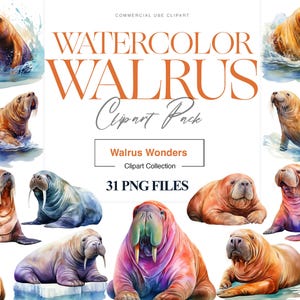 Watercolor Walrus Clipart, Artic Animal Walrus, Ocean Animals, Walrus Print, Children&#39;s Book, Walrus Wall Art