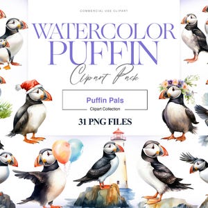 Clipart aquarelle macareux moine, macareux moine, macareux moine hiver PNG, clipart oiseau aquarelle, art mural macareux