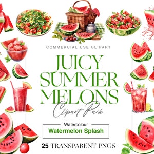 25 Watercolor Watermelon Clipart, Summer Fruit, Picnic Clipart, Watermelon Slices, Pink Watermelon, Popsicle
