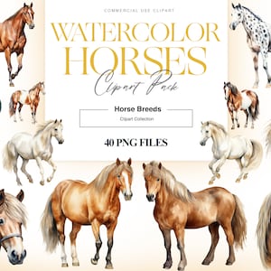 Aquarell Pferderassen Clipart, Appaloosa, Reiterpferd, American Paint Horse Illustration, Pferdebilder