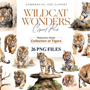 Clipart tigre aquarelle, tigre PNG, art animalier aquarelle, animaux de la jungle, bébé tigre, grands félins, visage de tigre