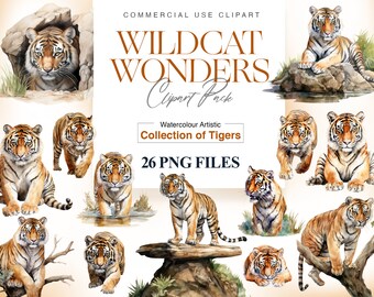 Watercolor Tiger Clipart, Tiger PNG, Watercolor Animal Art, Jungle Animal, Baby Tiger, Big Cats, Tiger Face