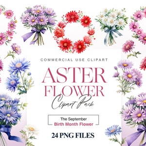 Aster Birth Month Flower Clipart, Kwiaty Akwarelowe, Wieniec, Bukiet, Fioletowy Kwiat PNG, Ilustracja Kwiatowa