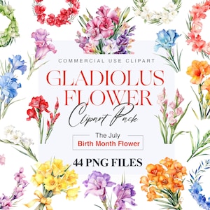 44 Gladiolus Geburtsmonat Blume, Blumenkranz, Aquarell Blumensträuße, Blume PNG, Geburtstagskarte, Hochzeitsdeko